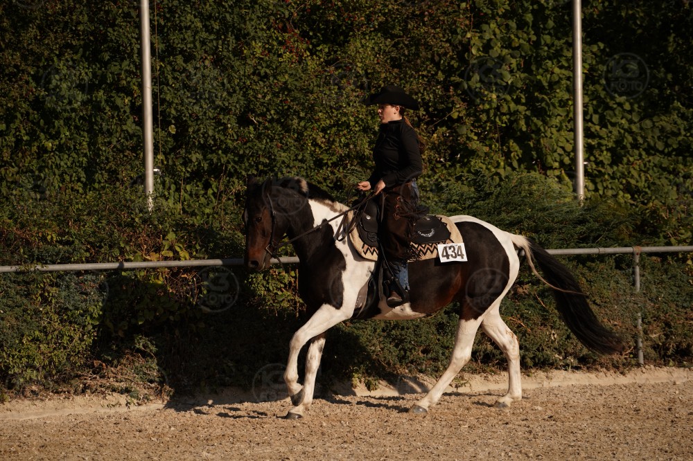s_A_906721.JPG